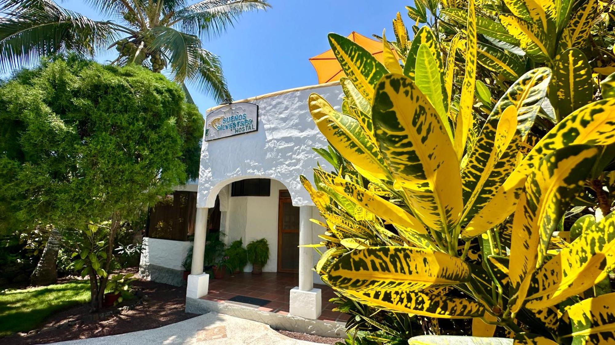 Hostal Suenos Silvestres プエルトアヨラ エクステリア 写真